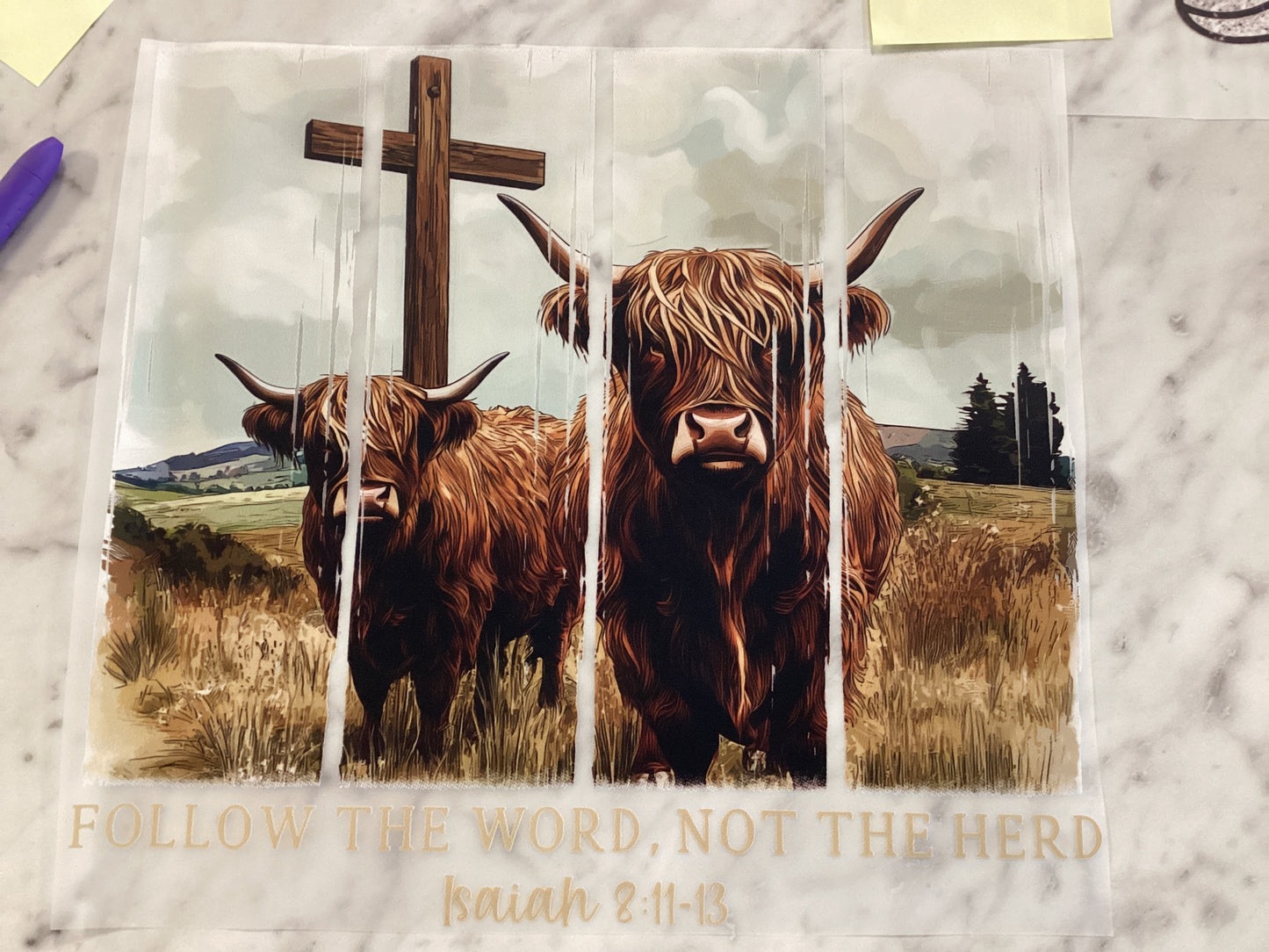 Follow the word Transfer