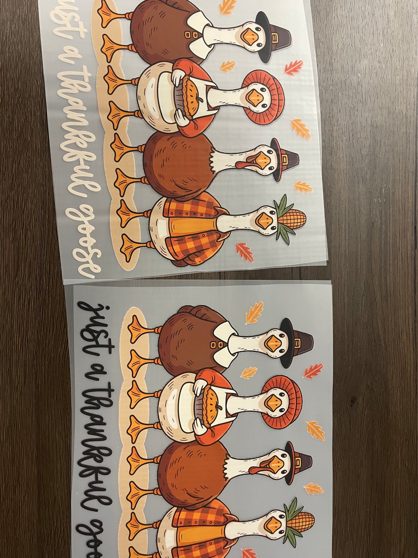 Just a thankful goose