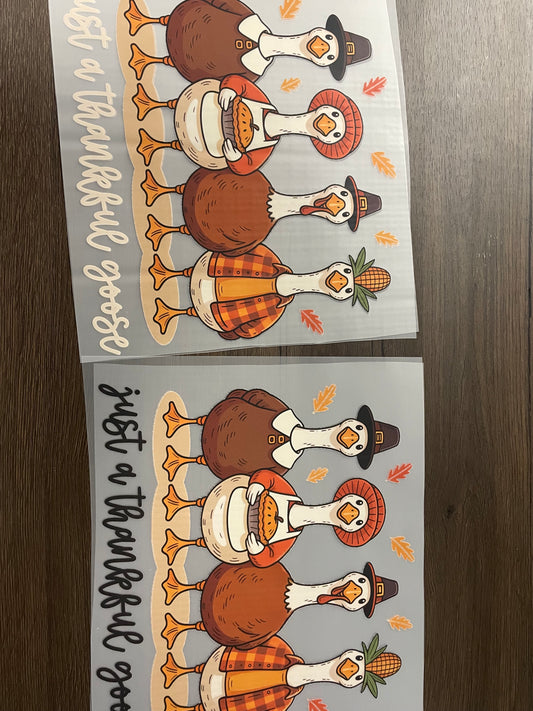 Just a thankful goose